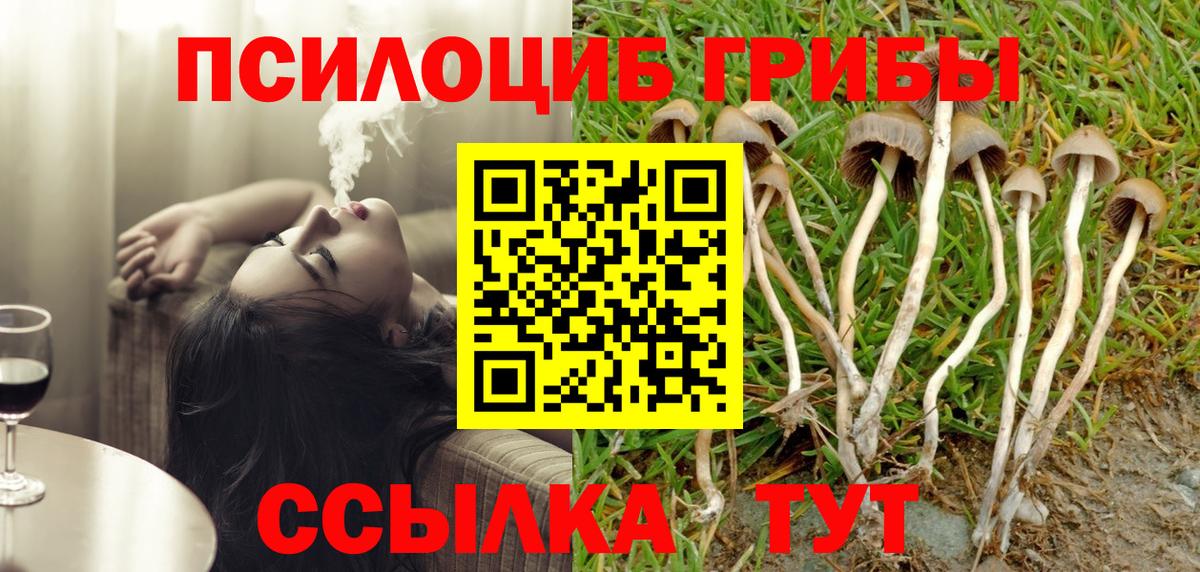 Галлюциногенные грибы прущие грибы  Вход с VPN  Щёлково 